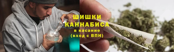 прущие грибы Алексин