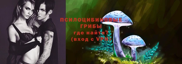 прущие грибы Алексин