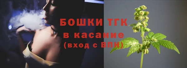 прущие грибы Алексин