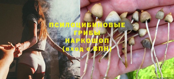 прущие грибы Алексин