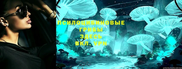 прущие грибы Алексин