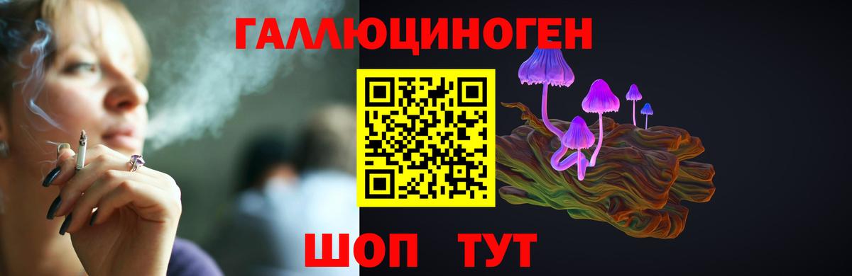 Псилоцибиновые грибы GOLDEN TEACHER  Вход с VPN  Галлюциногенные грибы MAGIC MUSHROOMS  Дзержинский 